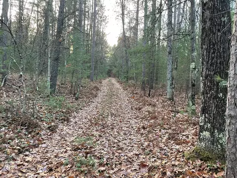 V/l Forest Service 8433/pomeroy Sp, Irons, MI 49644