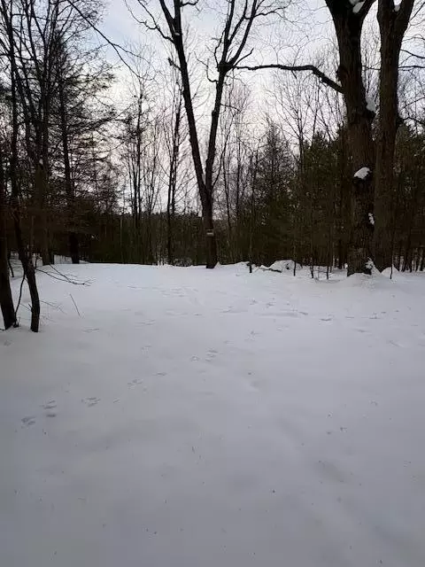 Vl Bayou Road, Montague, MI 49437