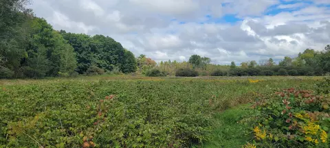 881 S Brye Rd, Ludington, MI 49431