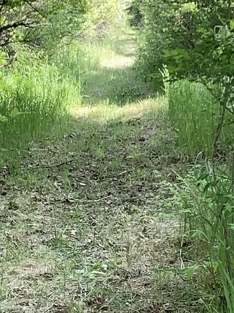 30 Th Ave, Remus, MI 49340