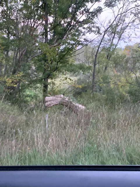 30 Th Ave, Remus, MI 49340 photo 3