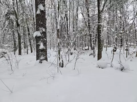 V/l S Whalen Lake Road, Baldwin, MI 49304