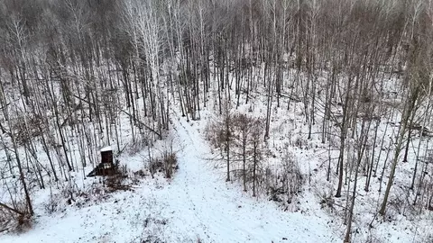 W Dana Rd Road, Coleman, MI 48618