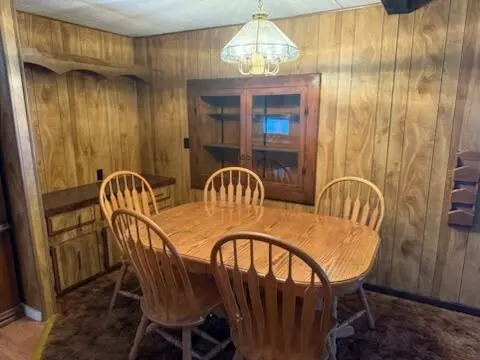 4095 E Shore Dr, Stanton, MI 48888 photo 10