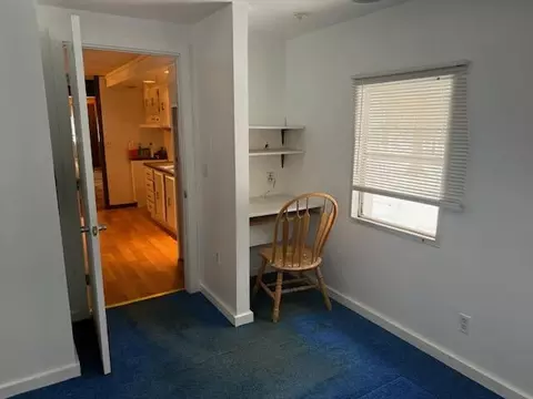 4095 E Shore Dr, Stanton, MI 48888 photo 15