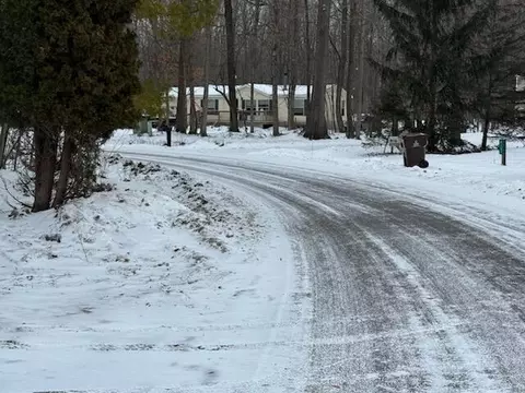 4095 E Shore Dr, Stanton, MI 48888 photo 29