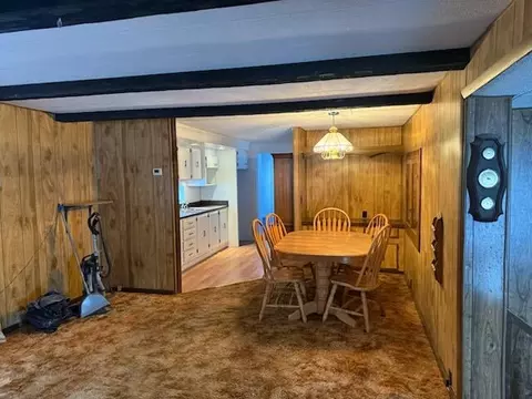 4095 E Shore Dr, Stanton, MI 48888 photo 11