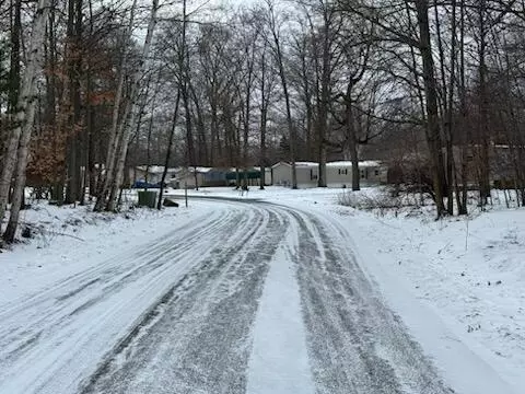 4095 E Shore Dr, Stanton, MI 48888 photo 30