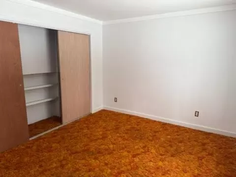 4095 E Shore Dr, Stanton, MI 48888 photo 17