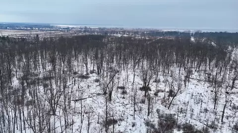 S Santiago Road, Au Gres, MI 48703