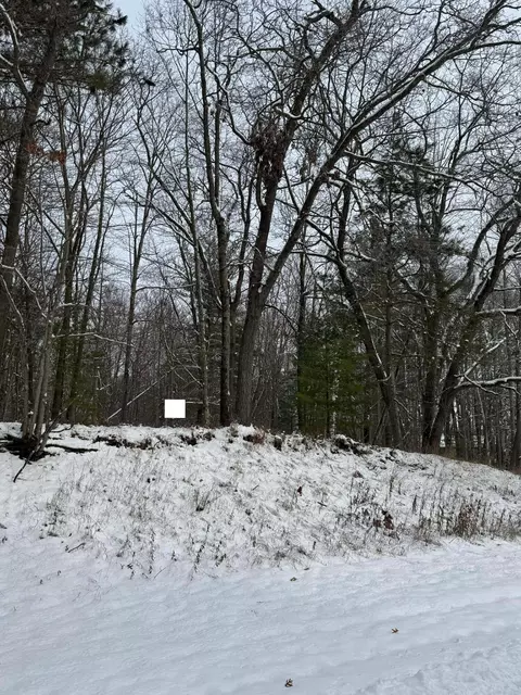 Oakridge Drive, Oscoda, MI 48750