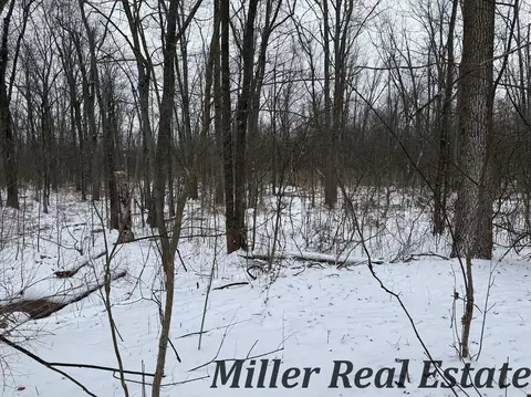 V/l David Street, Hastings, MI 49058
