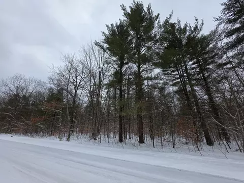 Coates Highway, Brethren, MI 49619 photo 8