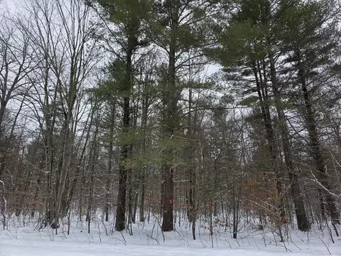 Coates Highway, Brethren, MI 49619 photo 2