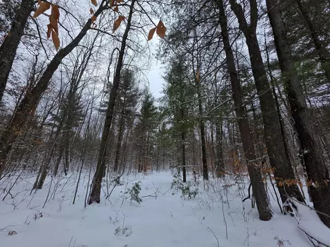 Coates Highway, Brethren, MI 49619 photo 3