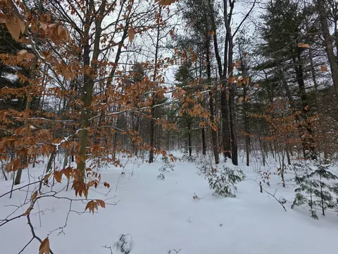 Coates Highway, Brethren, MI 49619 photo 5