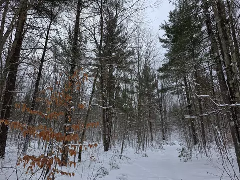 Coates Highway, Brethren, MI 49619 photo 6