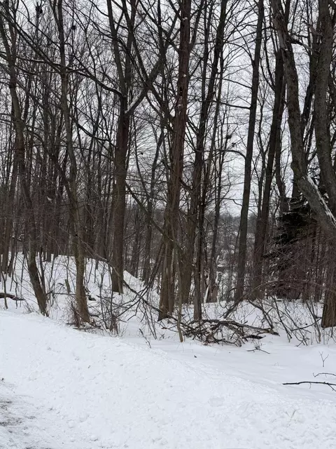 313 W Spruce St E, Big Rapids, MI 49307 photo 2