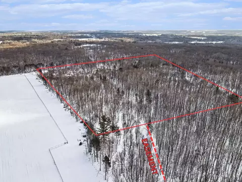 18 S 9 Acres S 176th Ave, Hesperia, MI 49421