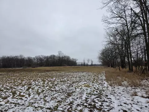 Fenner Road, Perry, MI 48872 photo 3
