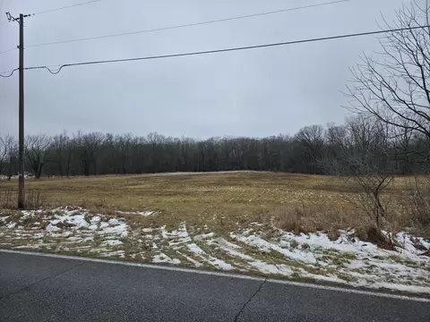 Fenner Road, Perry, MI 48872 photo 2
