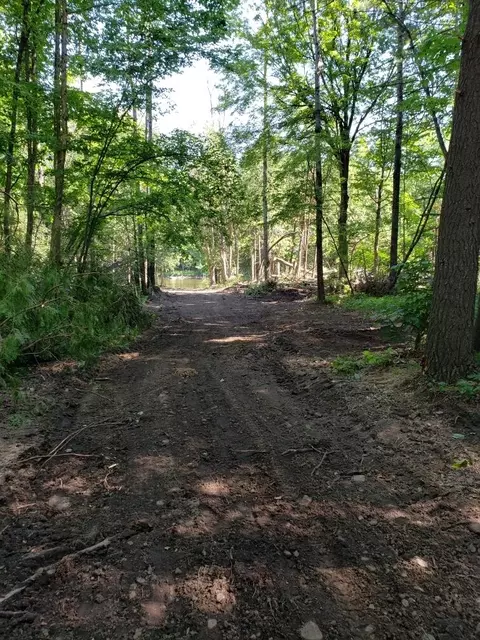 Blue Vista Drive, Evart, MI 49631