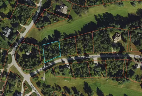 lot28 White Pine Dr, Cadillac, MI 49601