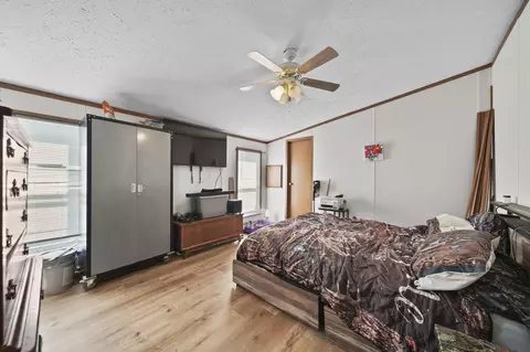 243 Kirk, Adrian, MI 49221 photo 11