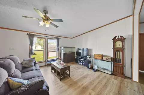 243 Kirk, Adrian, MI 49221 photo 5