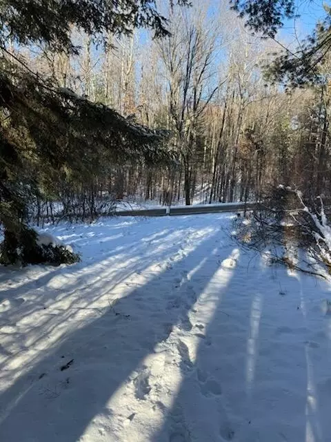 30 W Stanton Rd, Stanton, MI 48888 photo 13