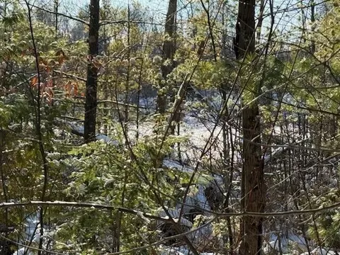 30 W Stanton Rd, Stanton, MI 48888 photo 5