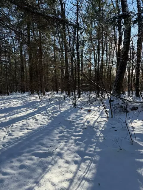 30 W Stanton Rd, Stanton, MI 48888 photo 7