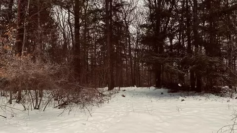 30 W Stanton Rd, Stanton, MI 48888 photo 21
