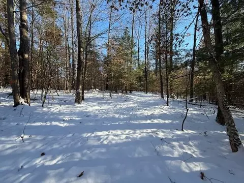 30 W Stanton Rd, Stanton, MI 48888 photo 11
