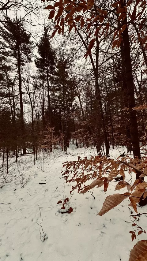 30 W Stanton Rd, Stanton, MI 48888 photo 25