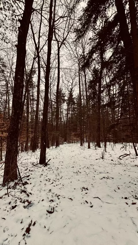 30 W Stanton Rd, Stanton, MI 48888 photo 24