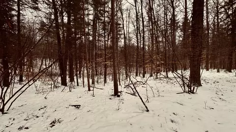 30 W Stanton Rd, Stanton, MI 48888 photo 23