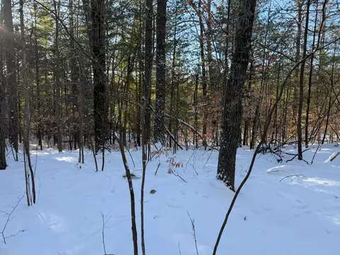 30 W Stanton Rd, Stanton, MI 48888 photo 9