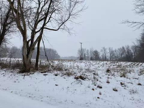 W Thompson Road, Bronson, MI 49028