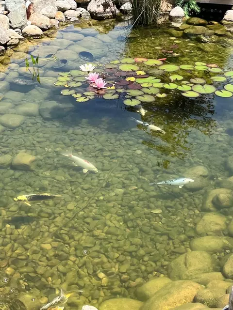 Other - 18939 I- Dr N, Marshall, MI 49068 photo 9 of 9