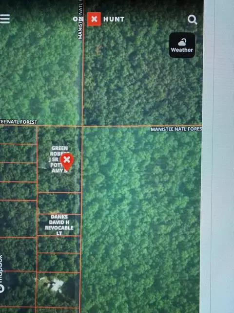 10717 N Java Rd, Irons, MI 49644