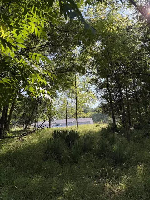 178 Griswold St, Hillsdale, MI 49242
