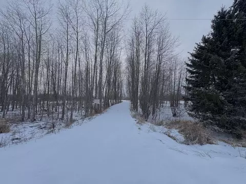 1 5 Acres Alabaster Rd, Tawas City, MI 48763
