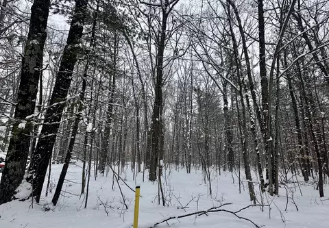 00 Saux Ln, Big Rapids, MI 49307