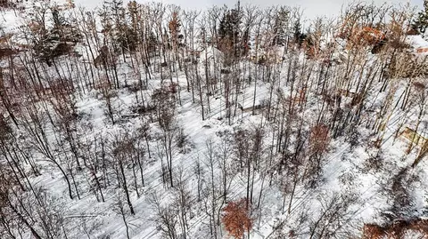 View/Area - 13085 Englewright Dr, Sand Lake, MI 49343 photo 3 of 15