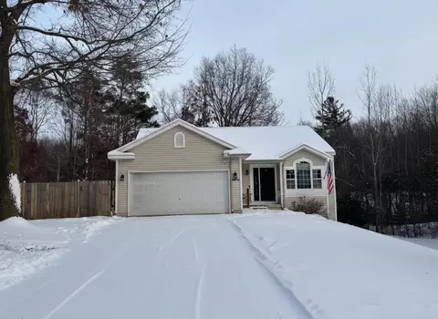6146 Olivia Lane Ln, Howard City, MI 49329