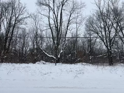 W Pq - Vacant Land Parcel D Avenue, Kalamazoo, MI 49009