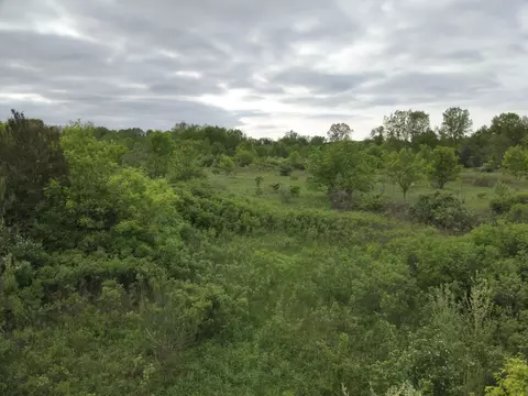 Bunkerhill Road, Jackson, MI 49201