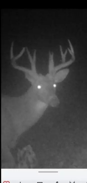 V/l Cade Rd Road, Capac, MI 48014