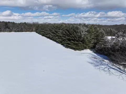 0 Roepke Rd, Gregory, MI 48137 photo 5